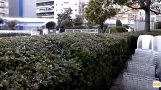 51zxwedu🍆中文字幕的成人视频🔞